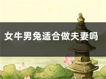 女牛男兔适合做夫妻吗