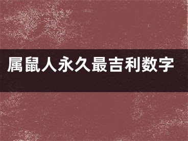 属鼠人永久最吉利数字