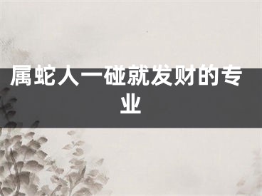 属蛇人一碰就发财的专业