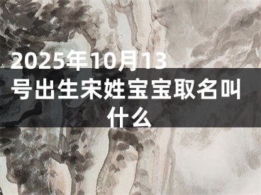 2025年10月13号出生宋姓宝宝取名叫什么