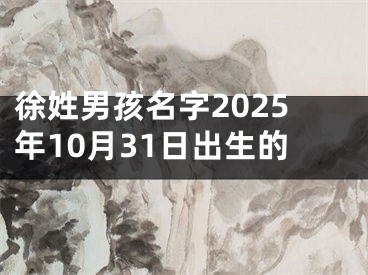 徐姓男孩名字2025年10月31日出生的