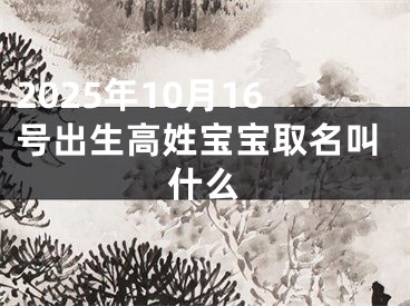 2025年10月16号出生高姓宝宝取名叫什么