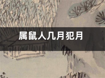 属鼠人几月犯月