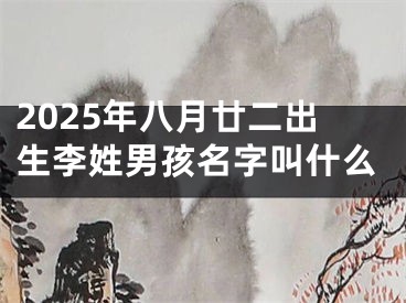 2025年八月廿二出生李姓男孩名字叫什么
