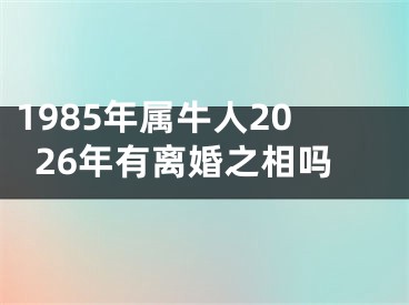 1985年属牛人2026年有离婚之相吗