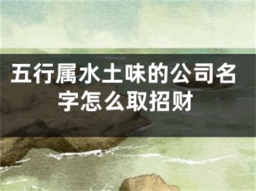 五行属水土味的公司名字怎么取招财