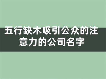 五行缺木吸引公众的注意力的公司名字