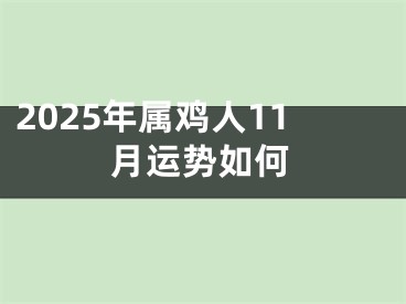 2025年属鸡人11月运势如何