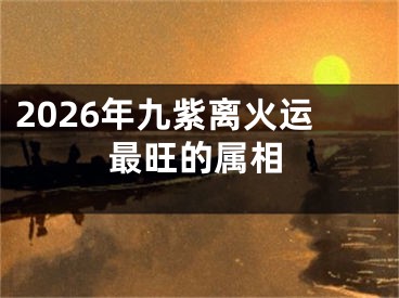 2026年九紫离火运最旺的属相