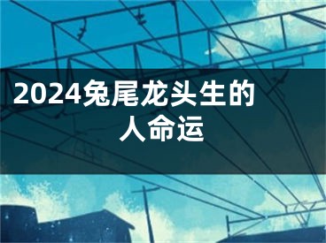 2024兔尾龙头生的人命运