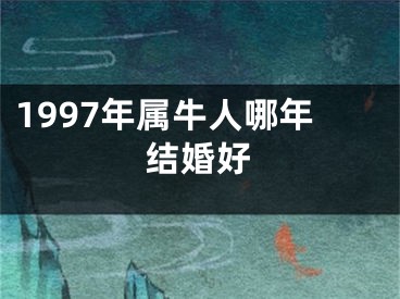 1997年属牛人哪年结婚好