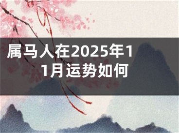 属马人在2025年11月运势如何