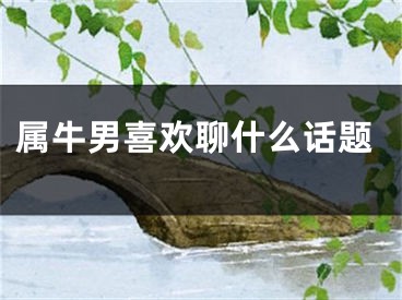属牛男喜欢聊什么话题