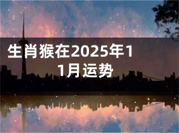 生肖猴在2025年11月运势