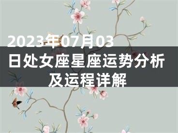 2023年07月03日处女座星座运势分析及运程详解