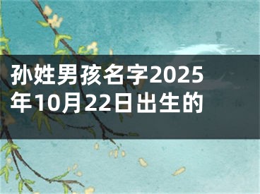 孙姓男孩名字2025年10月22日出生的