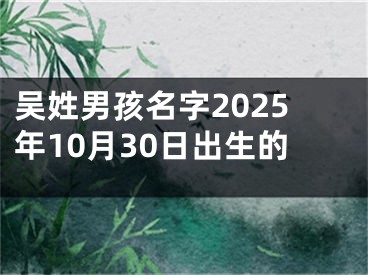 吴姓男孩名字2025年10月30日出生的