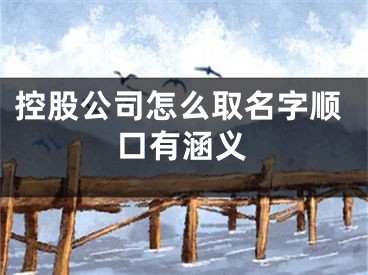 控股公司怎么取名字顺口有涵义