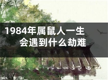 1984年属鼠人一生会遇到什么劫难