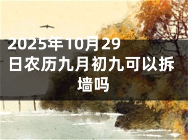 2025年10月29日农历九月初九可以拆墙吗