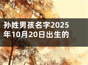 孙姓男孩名字2025年10月20日出生的