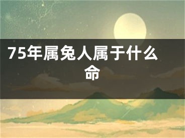 75年属兔人属于什么命