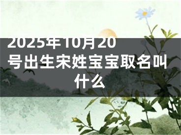 2025年10月20号出生宋姓宝宝取名叫什么