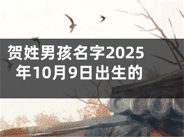 贺姓男孩名字2025年10月9日出生的
