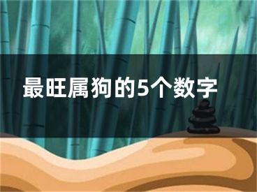 最旺属狗的5个数字