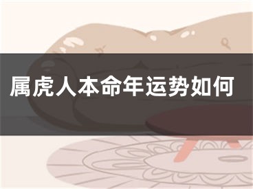 属虎人本命年运势如何