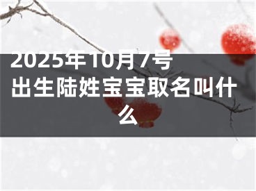 2025年10月7号出生陆姓宝宝取名叫什么