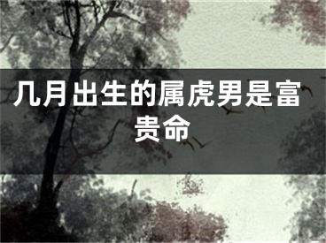 几月出生的属虎男是富贵命