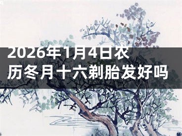 2026年1月4日农历冬月十六剃胎发好吗