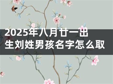 2025年八月廿一出生刘姓男孩名字怎么取