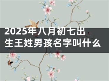 2025年八月初七出生王姓男孩名字叫什么