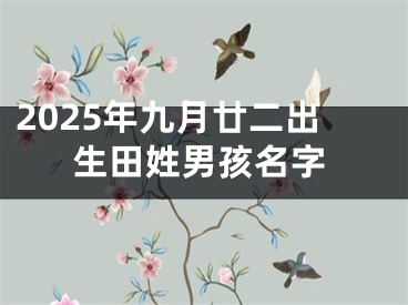 2025年九月廿二出生田姓男孩名字