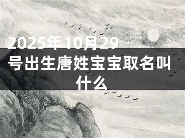 2025年10月29号出生唐姓宝宝取名叫什么