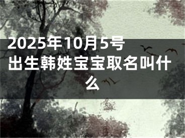 2025年10月5号出生韩姓宝宝取名叫什么
