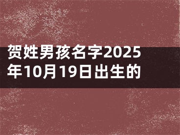 贺姓男孩名字2025年10月19日出生的