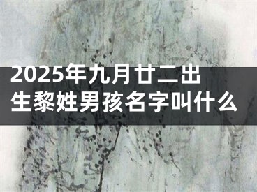 2025年九月廿二出生黎姓男孩名字叫什么