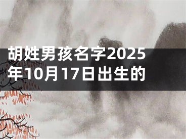 胡姓男孩名字2025年10月17日出生的