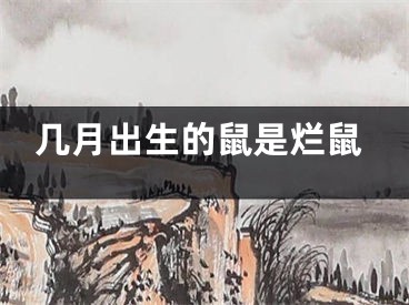 几月出生的鼠是烂鼠