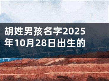 胡姓男孩名字2025年10月28日出生的