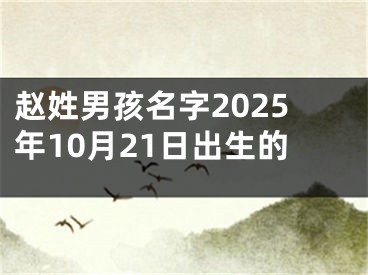 赵姓男孩名字2025年10月21日出生的