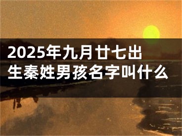 2025年九月廿七出生秦姓男孩名字叫什么