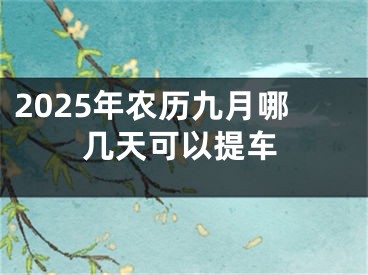 2025年农历九月哪几天可以提车