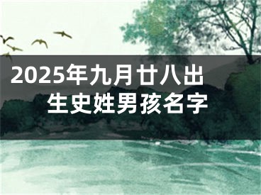 2025年九月廿八出生史姓男孩名字
