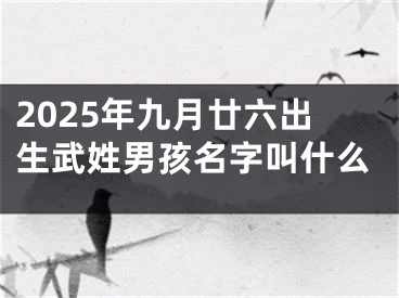 2025年九月廿六出生武姓男孩名字叫什么