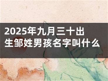 2025年九月三十出生邹姓男孩名字叫什么