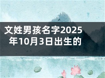 文姓男孩名字2025年10月3日出生的